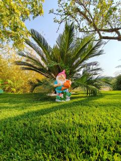 VILLA MARGHERITA - 3