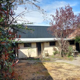 Cabañas Los Nonos - 4