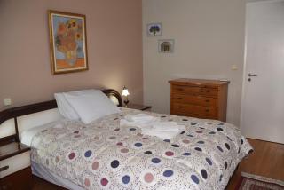 Vasiliki Apartment Trikala - 4