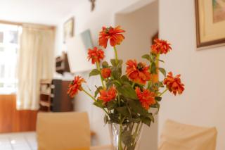 360 SUH Leblon 01 Jockye View - 6