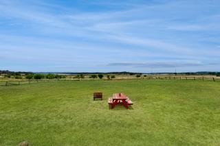 Canyon Lake Getaway - 9