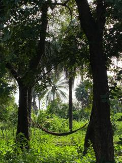 Jallo Kurundingoto Eco Tourist Camp - 6