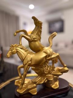 JW Apartments - Dargai - 8