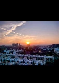 1 bhk Floral Apartment - 0