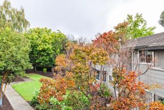 Blueground West Valley pool nr Park SFO-2050 - 6