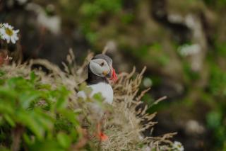 Isle Of Mull Hotel and Spa - 5