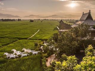 Phusanfah Resort - Mae Taeng - 6