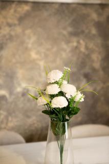 Los Soportales-Casa historica siglo XVI a 20 minutos de Puy du Fou - 1