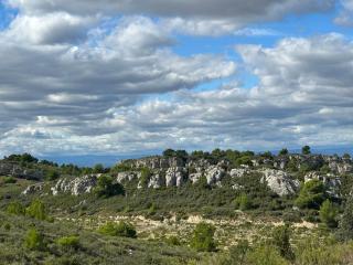 Maison des Béranger - Armissan - 2