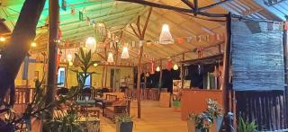 Green Senz by Wildflower - 9