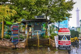 Island Club #113 - 2