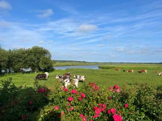 Gite Les Marais de la Douve - 5