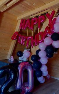 Villa Konezal - Ferizaj - 4