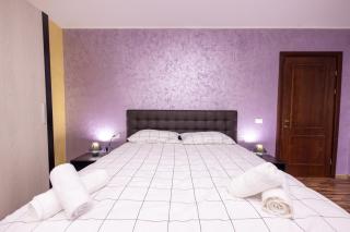 Cabana Walter Curtea de Arges with BBQ and Garden - 8