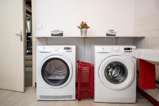 Domaine Jurassic Farm - 7