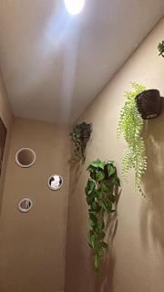 LOFT 02 - UFPE - UFRPE - Caxangá- Cordeiro - 8