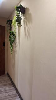 LOFT 02 - UFPE - UFRPE - Caxangá- Cordeiro - 7