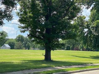 Glendale Cozy Gem 2b 1b queen,twin, trundle,sofa - 1