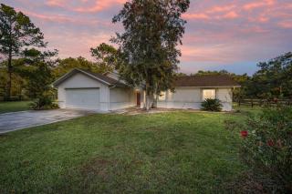 Large 3 bedrooms Equestrian - 7