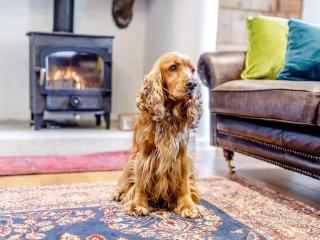 5 Bed in St Agnes 82928 - 4