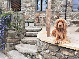 5 Bed in St Agnes 82928 - 1