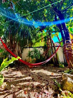 La Casa del Árbol - 5
