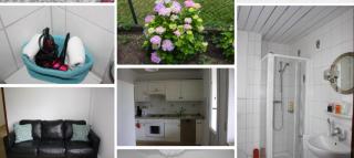 kleines Haus mit Wintergarten - 6