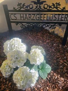 CS HARZgeflüster-Das Familienhotel - 6