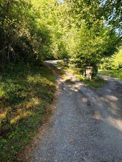 Maisonnette dans la forêt - 9