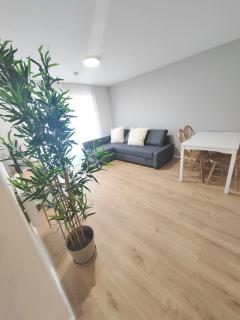 New 2 Bedroom Flat close to City Center Camp Street - 9