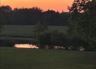 Château de Savonnières - 2