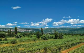 House Dragica - 3