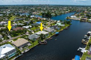 Dual Tropical Havens - Palm & Pearl - Roelens - 0