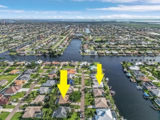 Dual Tropical Havens - Palm & Pearl - Roelens - 6