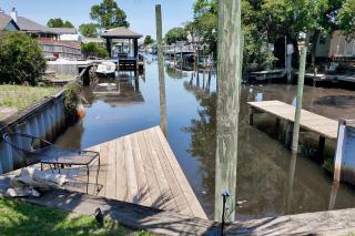 The Dolphin House - 6