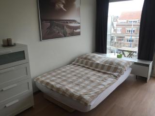 Résidence Sparrow - 3