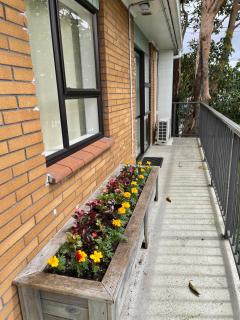 Sunny Tidy Corner in Ellerslie - 1