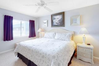 Triton's Trumpet C 504 - 7