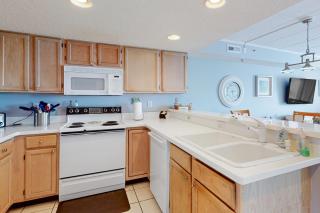 Triton's Trumpet C 504 - 1