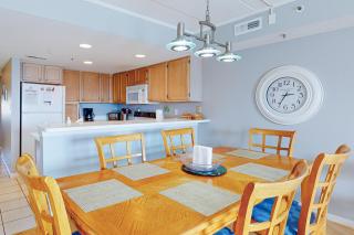 Triton's Trumpet C 504 - 2