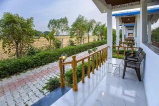 Corbett Jungle Breeze - 3