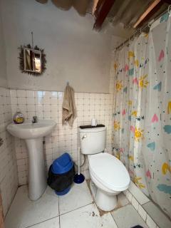 Fuego Nomada hause - 8