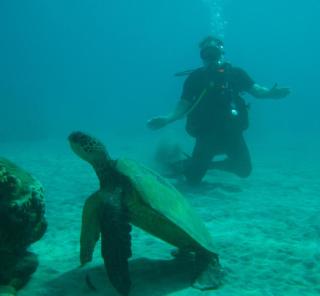 Milowai Ma'alaea - 0