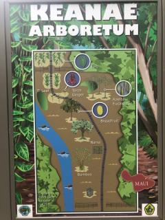 Milowai Ma'alaea - 8