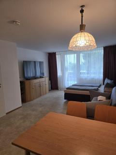 Apartment mit 4 Schlafplätze in Bayerischen Wald - 8