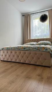 Nature & Design - Apartament pod lasem - 5