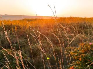 Modern Retreat near Vadehavet - By Traum Ferienwohnungen - 2