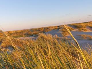 Modern Retreat near Vadehavet - By Traum Ferienwohnungen - 1