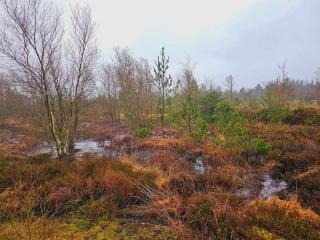 6 person holiday home in Nørre Nebel - 2