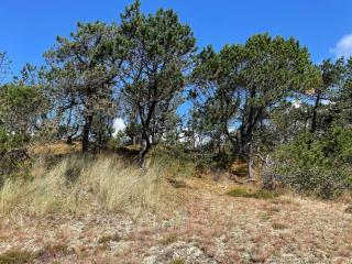 6 person holiday home in Nørre Nebel - 1